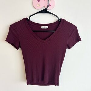 Elegant Burgundy Ribbed V-Neck Crop Top